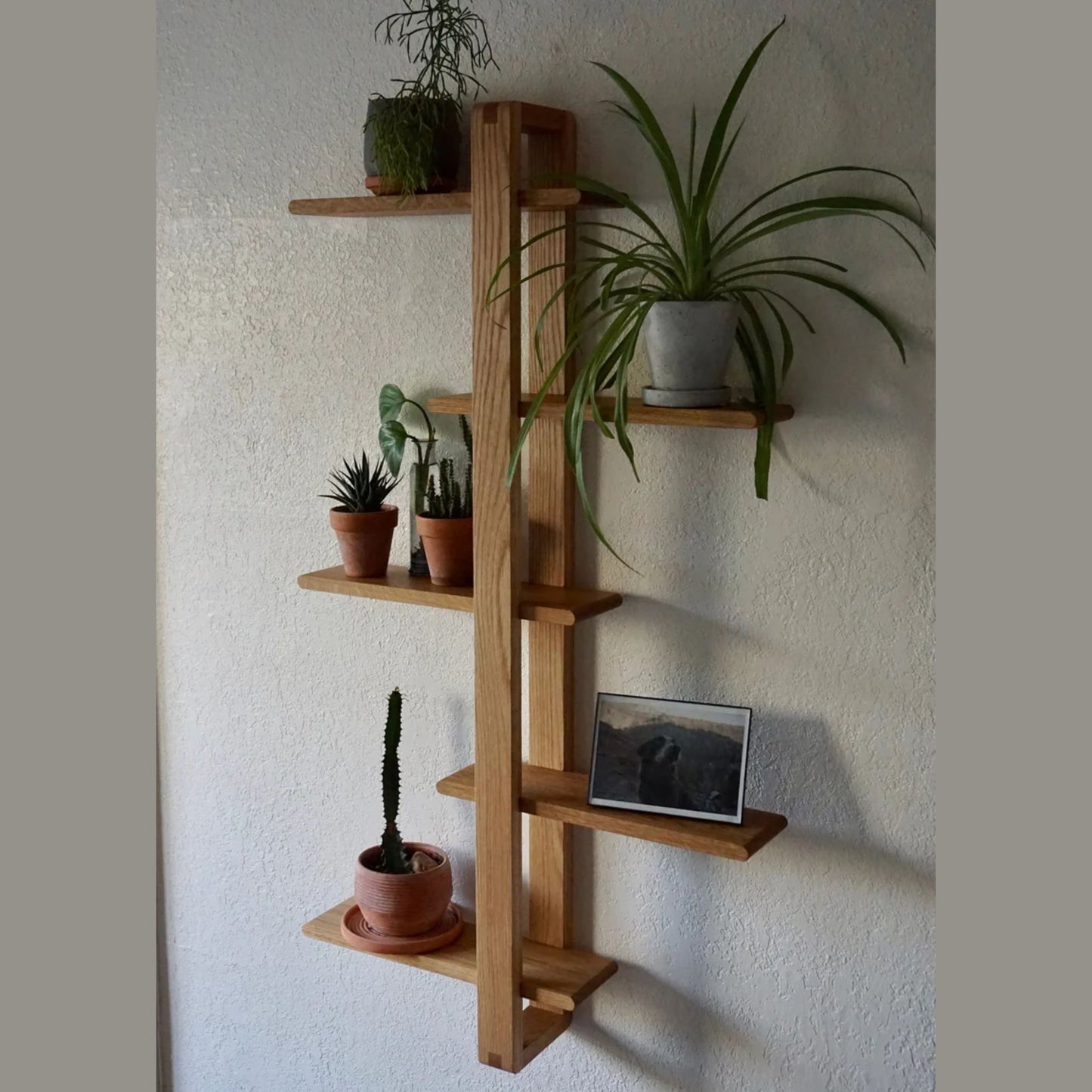 Wooden Wall Shelves
