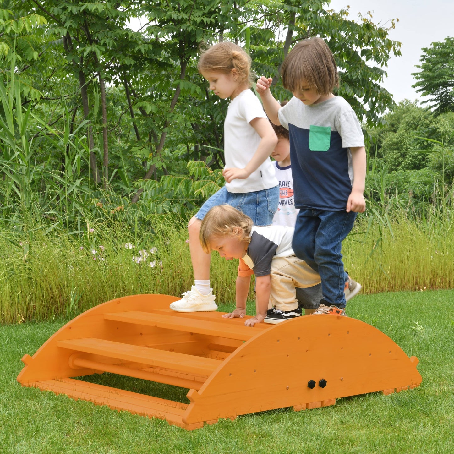 2-in-1 Rocker & Climber